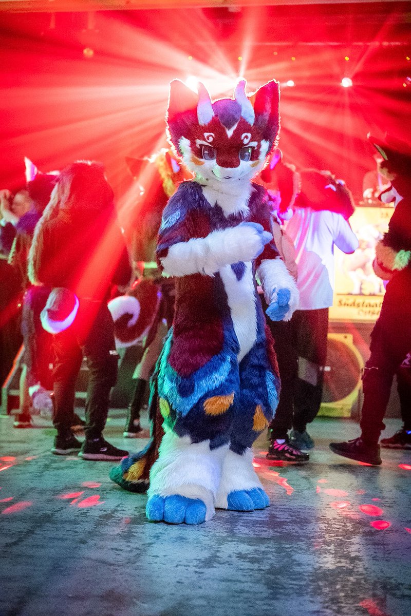 CaptainChaotika's tweet photo. ‼️‼️ https://t.co/ruA5AusOvK