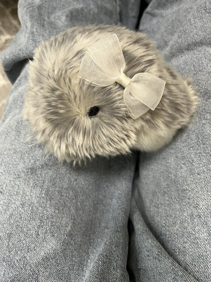 もふもふのモフ tweet media