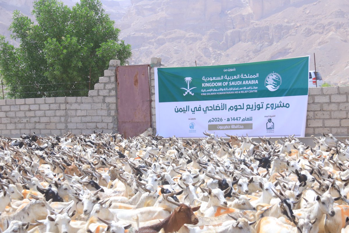 HumanAccessOrg's tweet photo. اطّلع فريق مركز الملك سلمان للإغاثة والأعمال الإنسانية @KSRelief في حضرموت على جاهزية تنفيذ مشروع لحوم الأضاحي لعام 1447هـ، الذي تنفذه جمعية إنسان @ensanorg  بالتعاون مع جمعية الوصول الإنساني، من خلال جولة تفقدية شملت متابعة فحص المواشي والتأكد من مطابقتها للشروط الشرعية والمعايير الصحية.

ويستهدف المشروع توزيع 4,140 أضحية في محافظات عدن وحضرموت ومأرب والمهرة، ليستفيد منها 49,680 فردًا من الأسر الأشد احتياجًا، بما يسهم في إدخال الفرح والسرور خلال أيام عيد الأضحى المبارك.

A team from the King Salman Humanitarian Aid and Relief Center @KSRelief_EN in Hadhramaut inspected the readiness for the 1447 AH (2026) Udhiyah (sacrificial) meat distribution project, implemented by the Ensan Charity Committee for Orphans Care with the HUMAN ACCESS Association. The inspection included monitoring the livestock and ensuring their compliance with religious and health standards.

The project aims to distribute 4,140 sacrificial animals in the governorates of Aden, Hadhramaut, Marib, and Al-Mahra, benefiting 49,680 people from the most vulnerable families and contributing to bringing joy and happiness during the blessed days of Eid al-Adha.

@ksrelief @ensanorg

#أضحيتك_نوصلها_بمحبة #HUMANACCESS #KSRelief