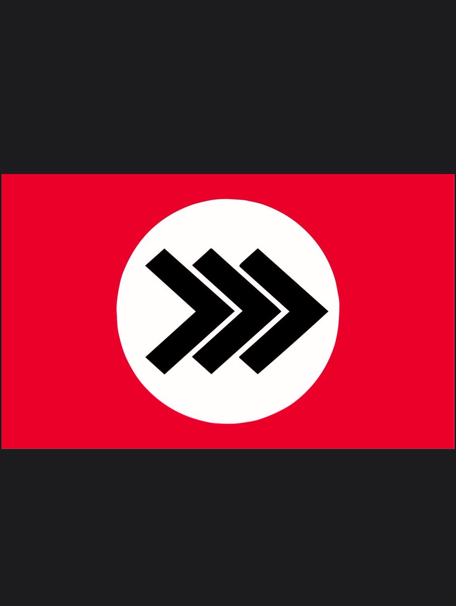 National Socialist American Workers’ Party tweet media