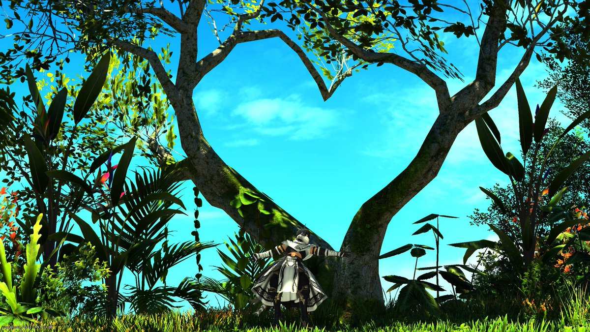 Halcyon_Alkimos's tweet photo. #FFXIV #FFXIVScreenshots #ffxivsnaps #consolegposers #GPOSERS https://t.co/45c025VAI3