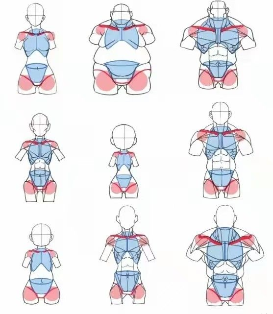 sodaguyx's tweet photo. different bodies different drafts https://t.co/yktLdGwVSM