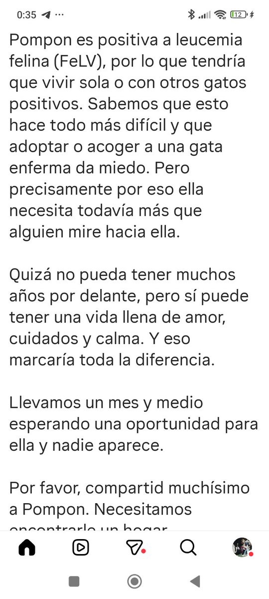 Marisa84157935's tweet photo. A #Pompon no le sale nada, sigue en una jaulita😿🥺💔
La situación de él no es fácil,pero necesita un hogar🙏🙏😭🆘 https://t.co/o2FTIFMYAe