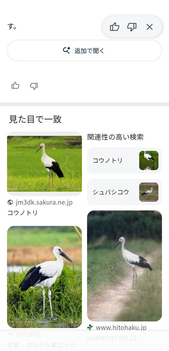 まぐまぐ tweet media