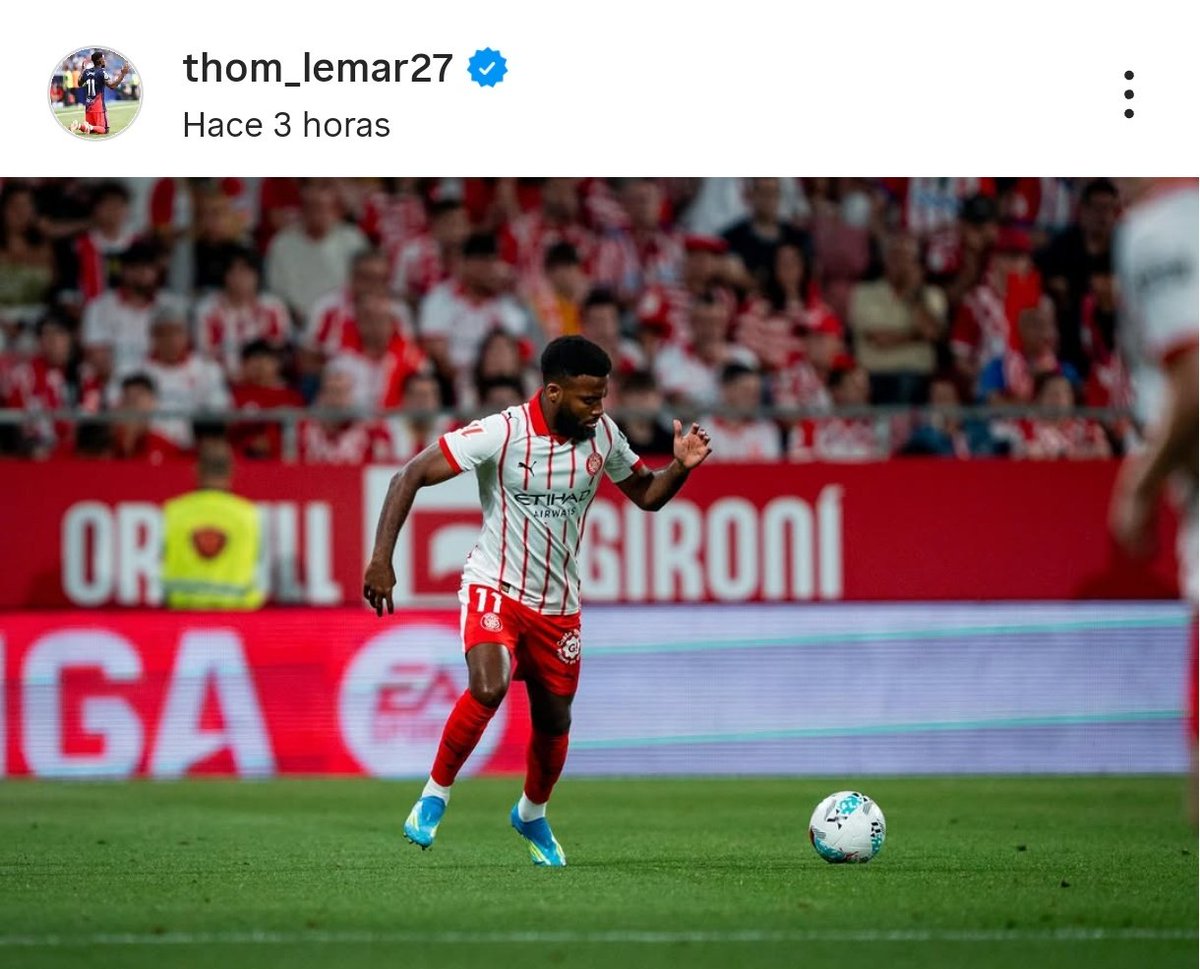 Iván tweet media