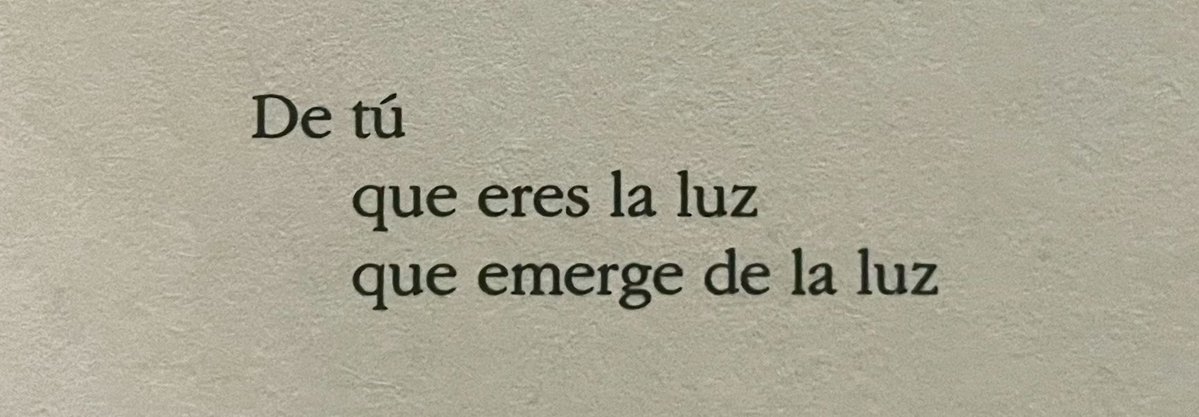 chica logaritmo ⭐️ tweet media