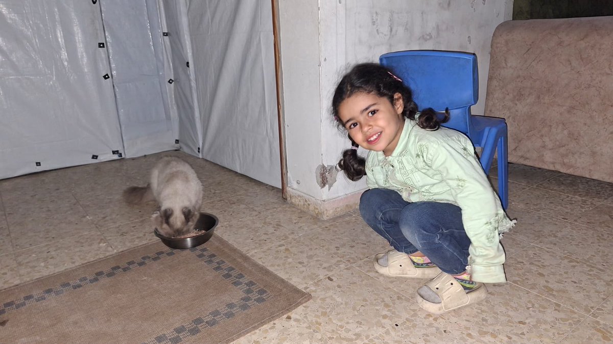 Mira's Family 🇵🇸 tweet media