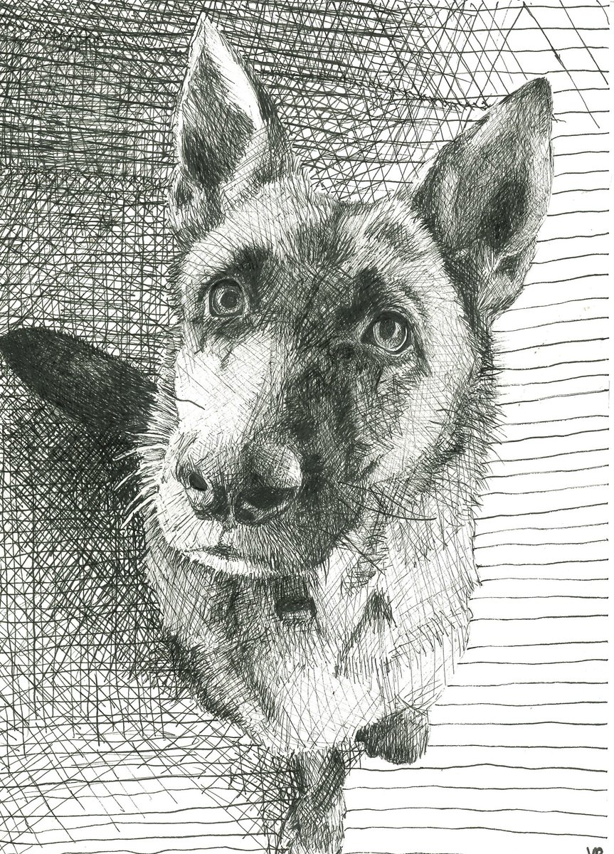Chip Roy tweet media
