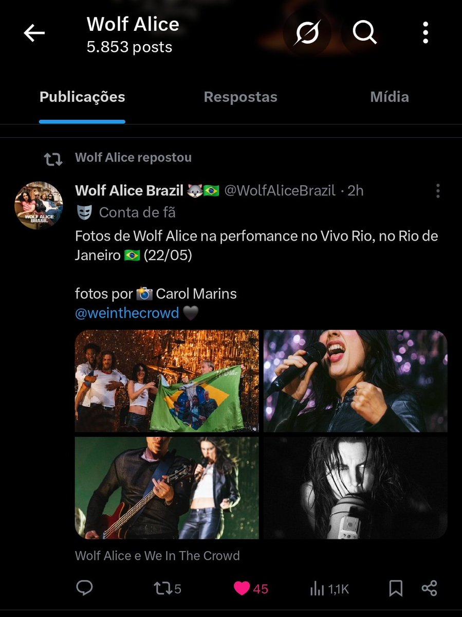 Wolf Alice Brazil 🐺🇧🇷 tweet media