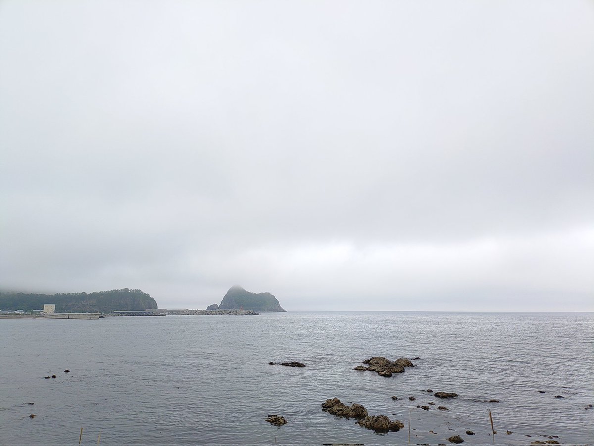 hide。 tweet media