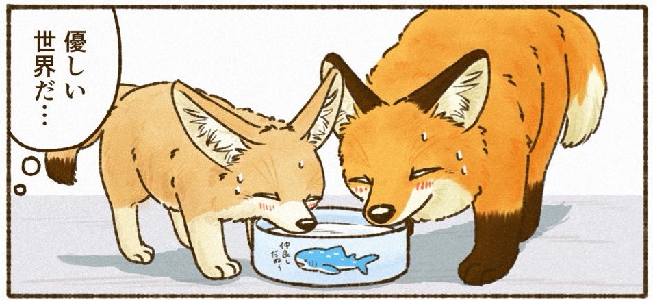 夏朱 優衣/ 書籍「きつねと一緒に暮らしたら」発売中🦊 tweet media