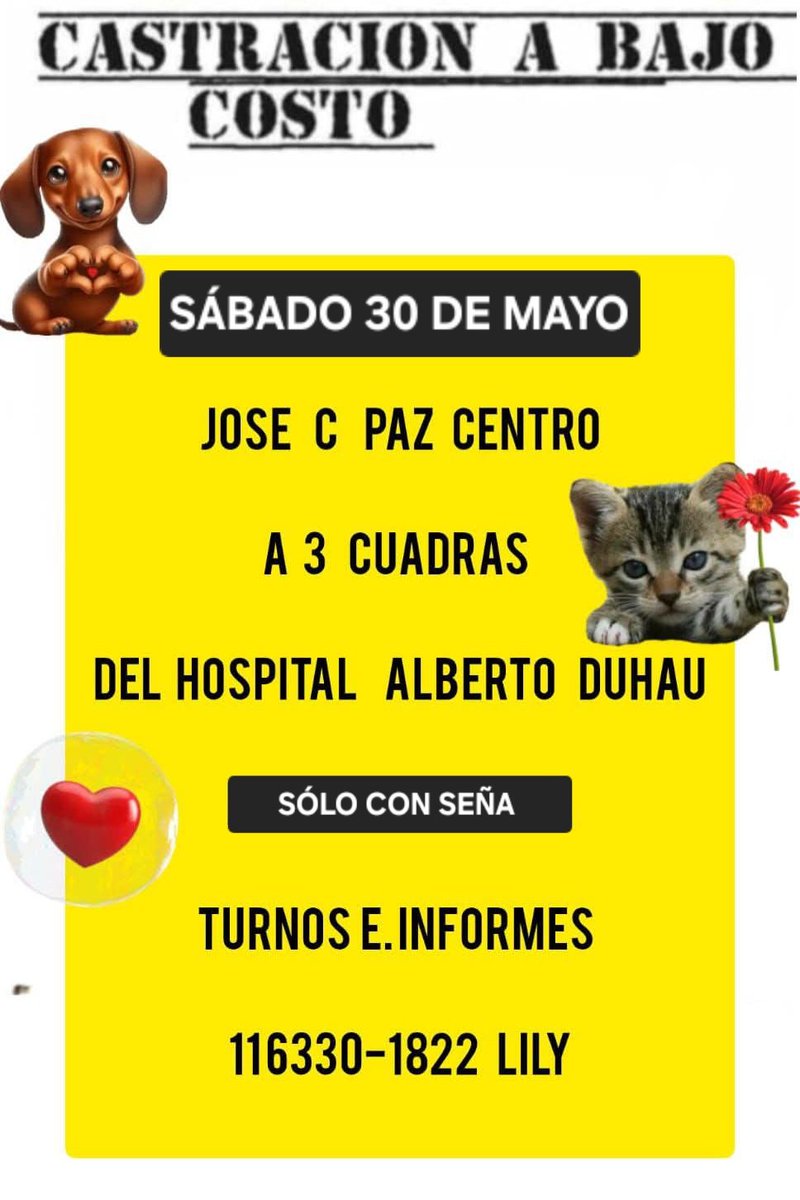protegealanimal's tweet photo. JOSÉ C. PAZ 
#JOSÉCPAZ #JCP #BARRIOLOSHORNOS #LAPAZ #LABASE #BARRIOPIÑERO #BARRIOLAMAS #BARRIOSOLYVERDE #SOLYVERDE #BARRIOPROVIDENCIA #LAMAS #BARRIOSANATILIO #SANATILIO #BARRIOALTUBE #ALTUBE #BARRIOALBERDI #ALBERDI #MERCANTE #ZONANOROESTE #GRANBSAS #BSAS #BUENOSAIRES #CONURBANO https://t.co/Cx8wDUYtrb