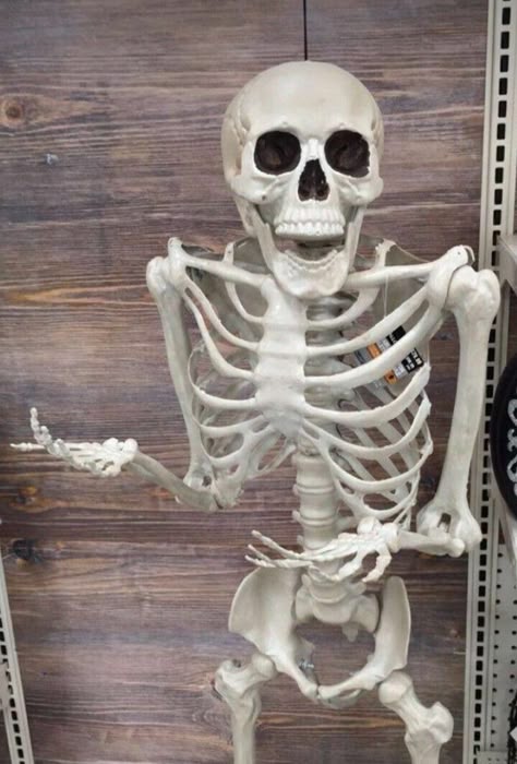 Slim Bonez tweet media