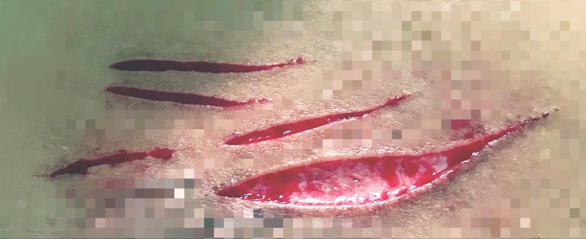 𖥨᩠ׄ݁.ི𓐇˚ִִ𓈒 ྐⓚυ𝕣ꪮ 𓈒ֺּׅ ִִ𓈒 ꢾ𓍢ִ໋ tweet media