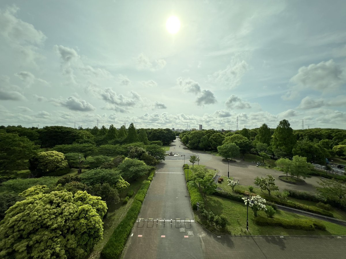 miki_mfb's tweet photo. 薄陽が差してます🌥️ https://t.co/mbPz853L0S