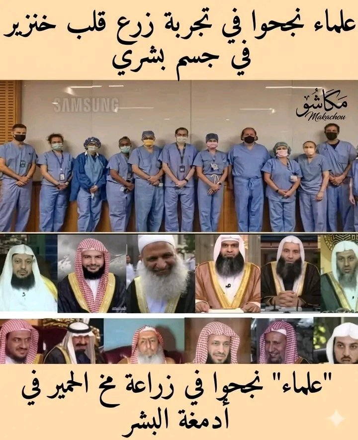 ⚖️ĞĞ♀️ tweet media