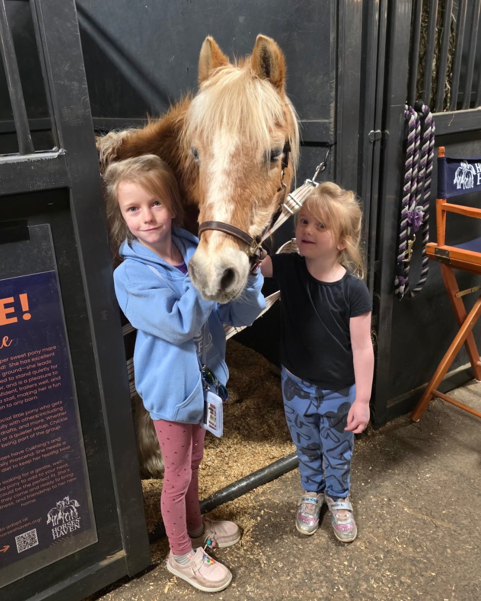 ASPCAPro's tweet photo. As we celebrate #AdoptAHorse Month 🐴, it’s the perfect time for equine professionals to strengthen how adoptable horses are showcased online. Learn how to capture photos that help increase visibility for horses in need of homes. #EquineWelfare 
https://t.co/Clz8PR2HAK https://t.co/ZQSbh7B0U5