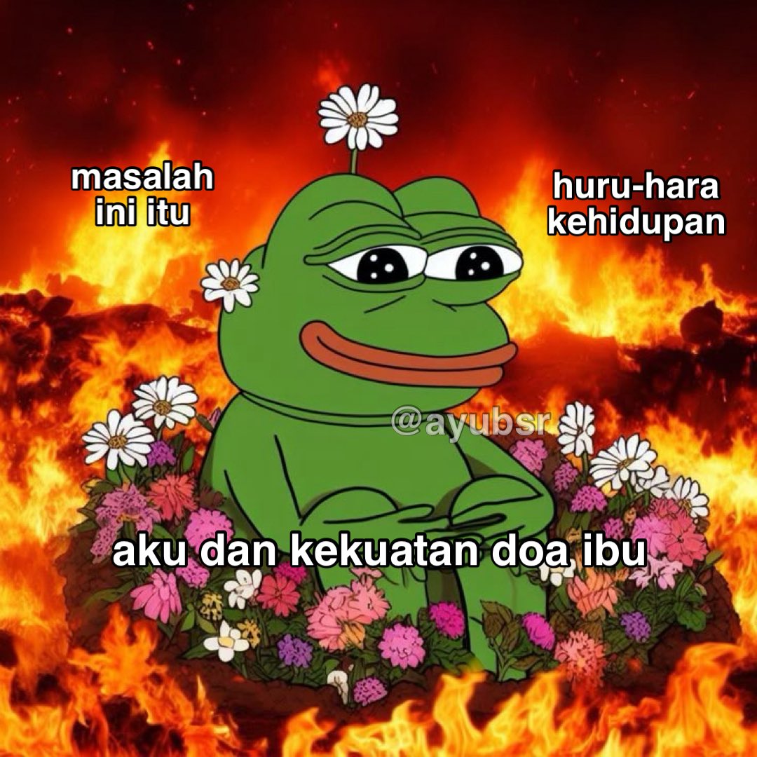 Ayu tweet media