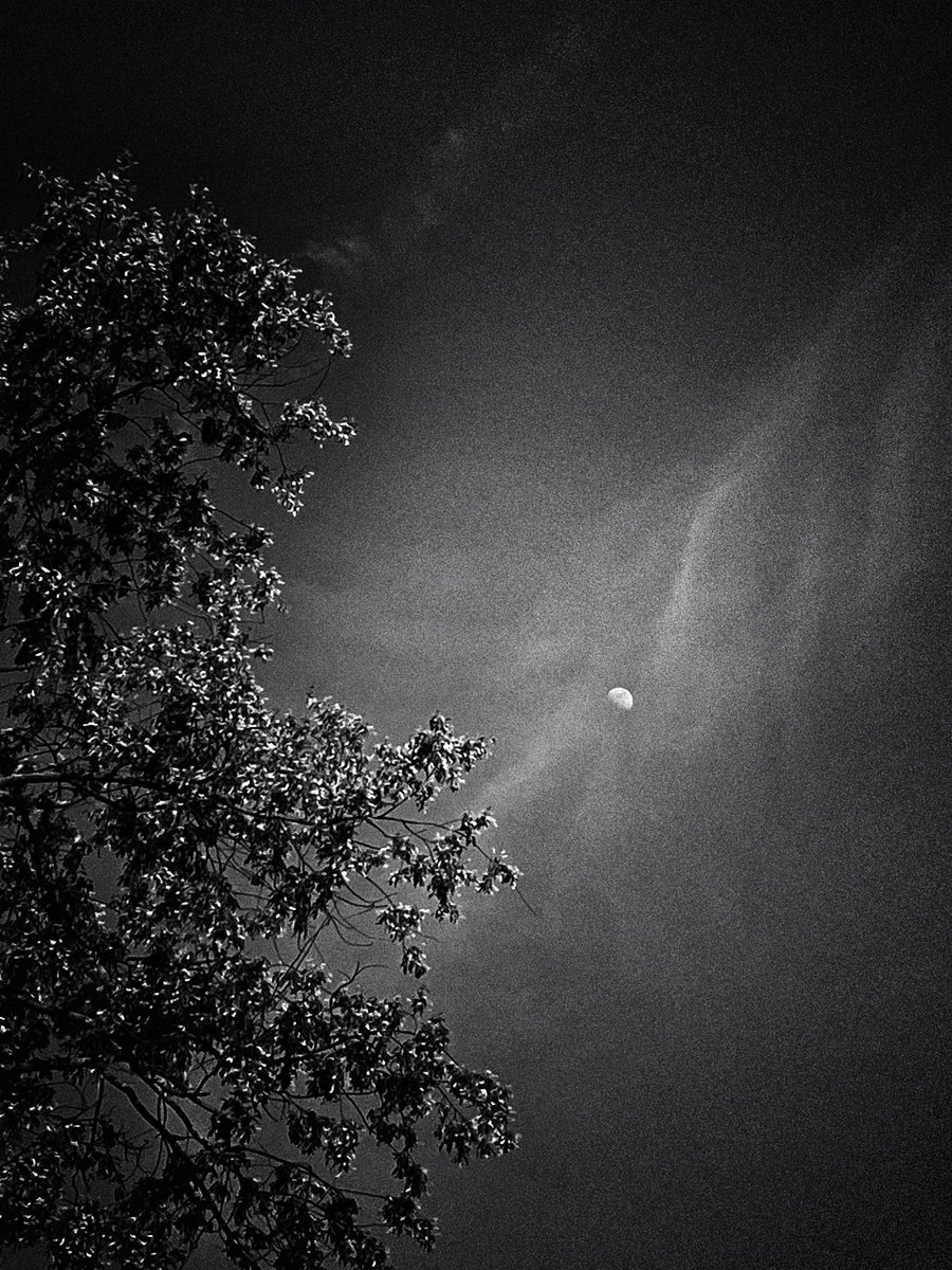 𝒜𝒸𝓉𝒾𝒶𝓈 𝐿𝓊𝓃𝒶 ཐི༏ཋྀ tweet media