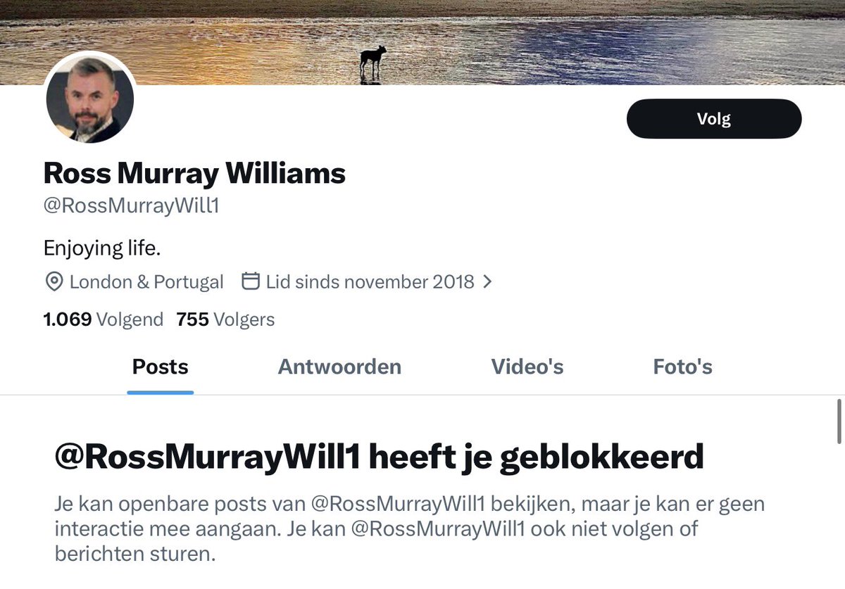 Dutch Guy Asking Questions tweet media