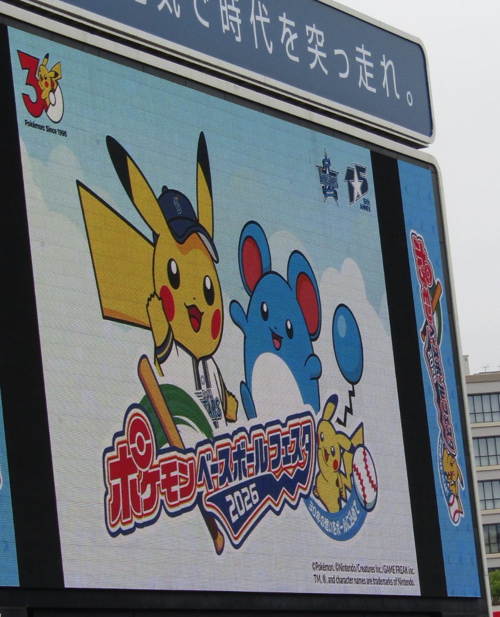ゆるBay tweet media