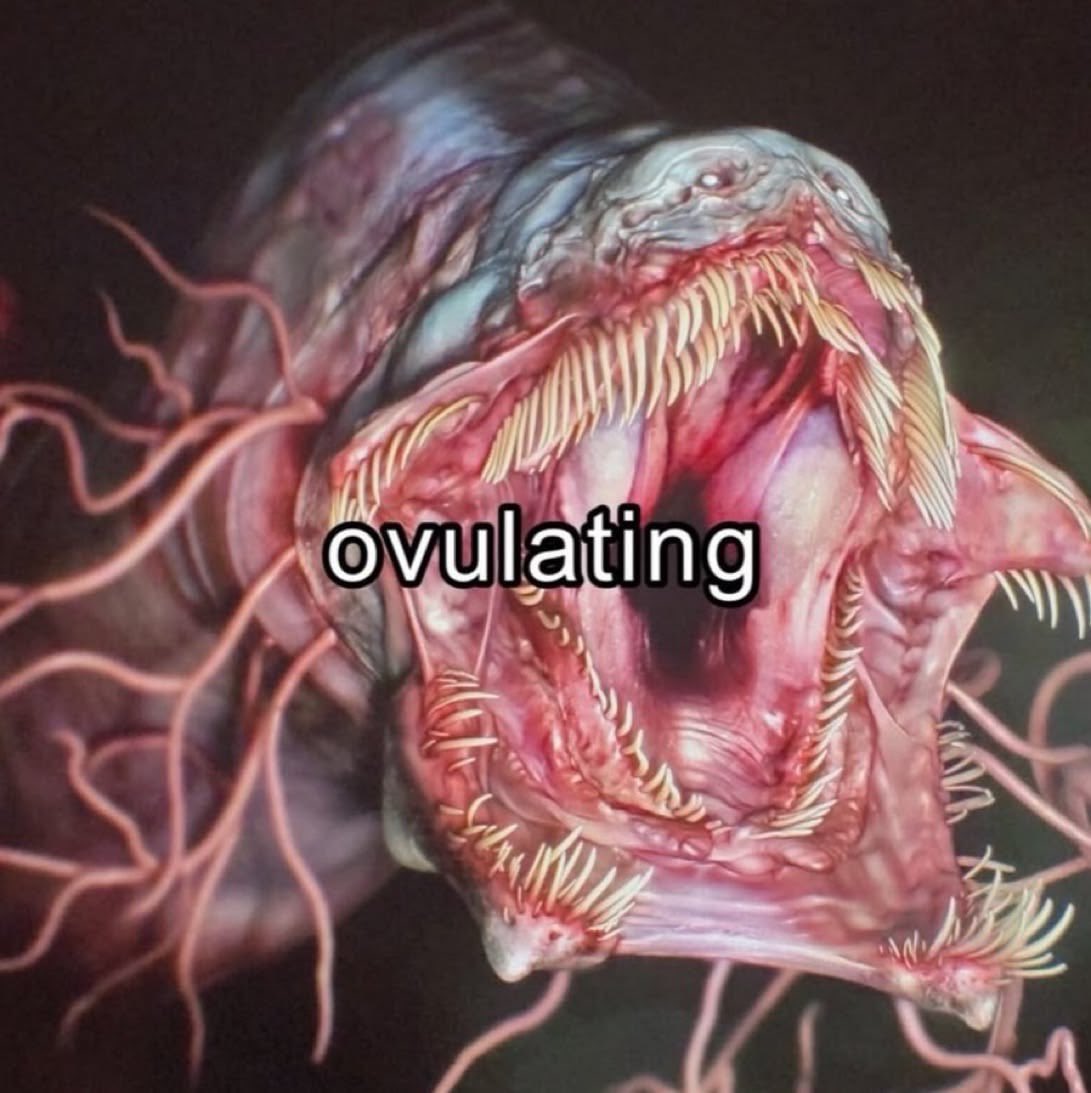 bean👁️🫁🩸 tweet media