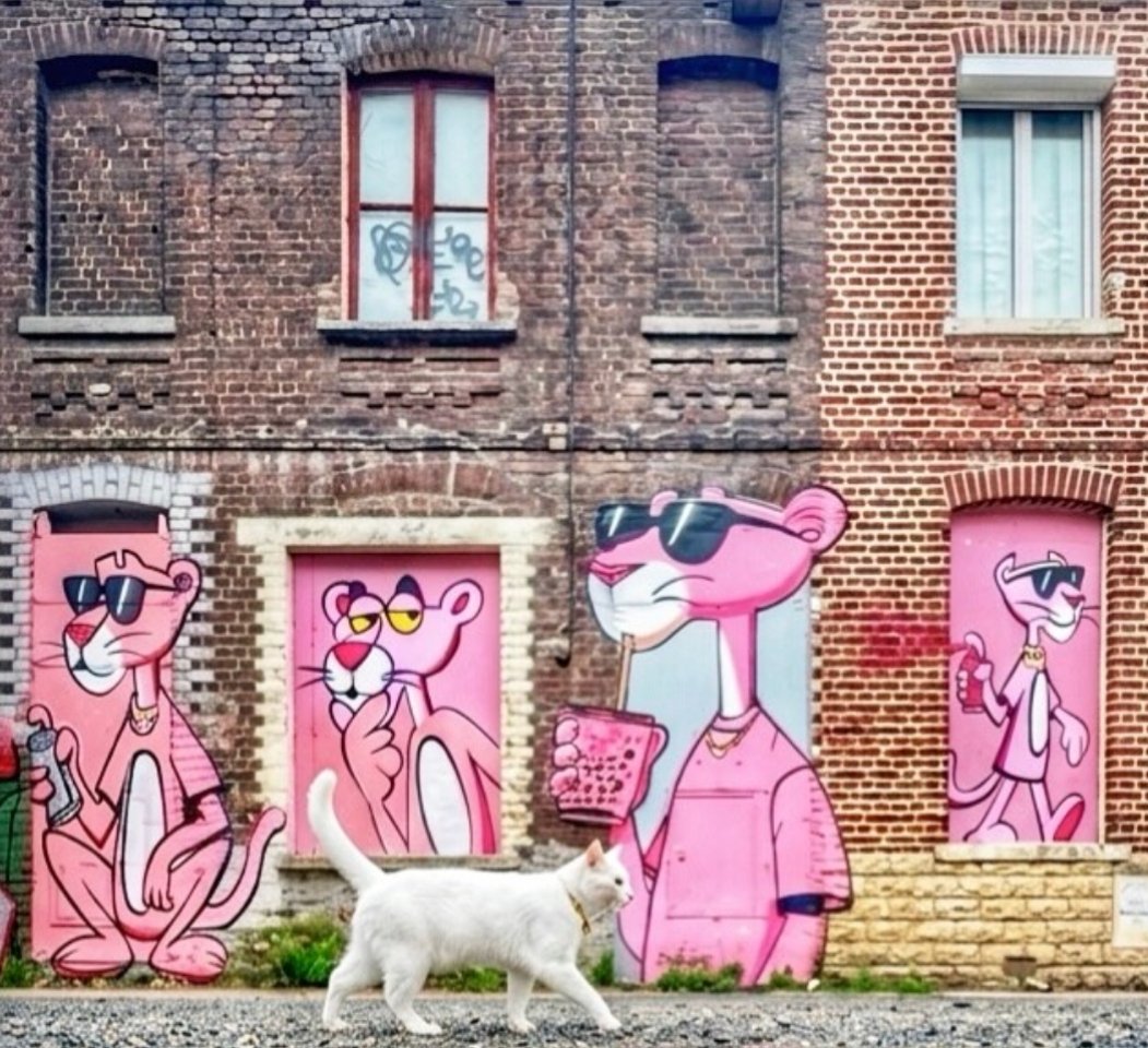 NinjaDilek's tweet photo. Pink Panther Mode: Activated.
Good Morning ☕✌️
#zelena #BBB25  #photography #ChumVeer #TRUMP #Israël 
#Ceasefire #Iran #art #cat
#chp #Dubai #ozgurozel https://t.co/fCU5pzYwZb