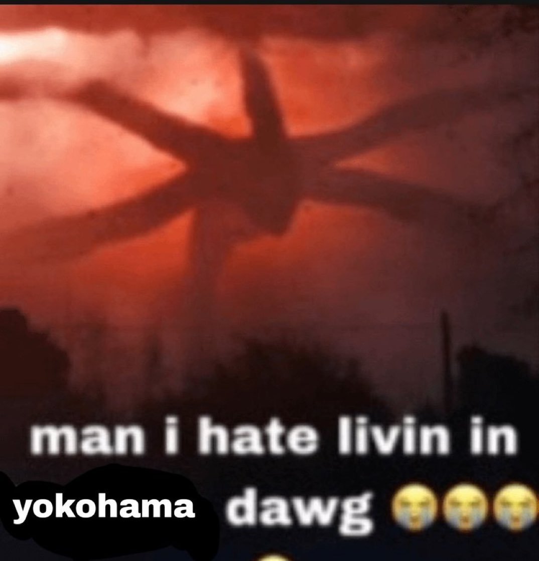 rina ☾ tweet media