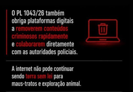 Lola 🧠🎯 tweet media