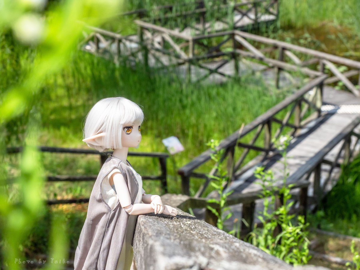 taiko@doll tweet media