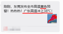 潘多貓 tweet media