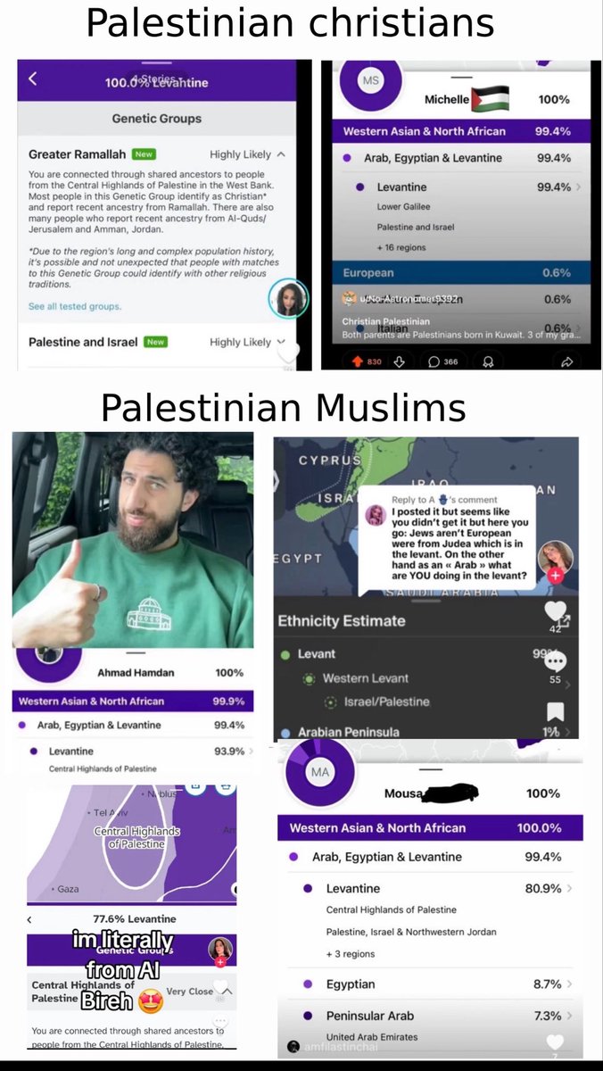 🇵🇸 tweet media