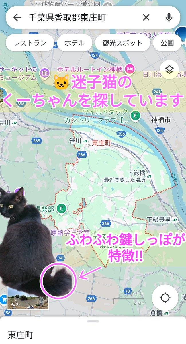 🐱うずかわ藍苑(迷子動物さん捜索応援アカ) tweet media