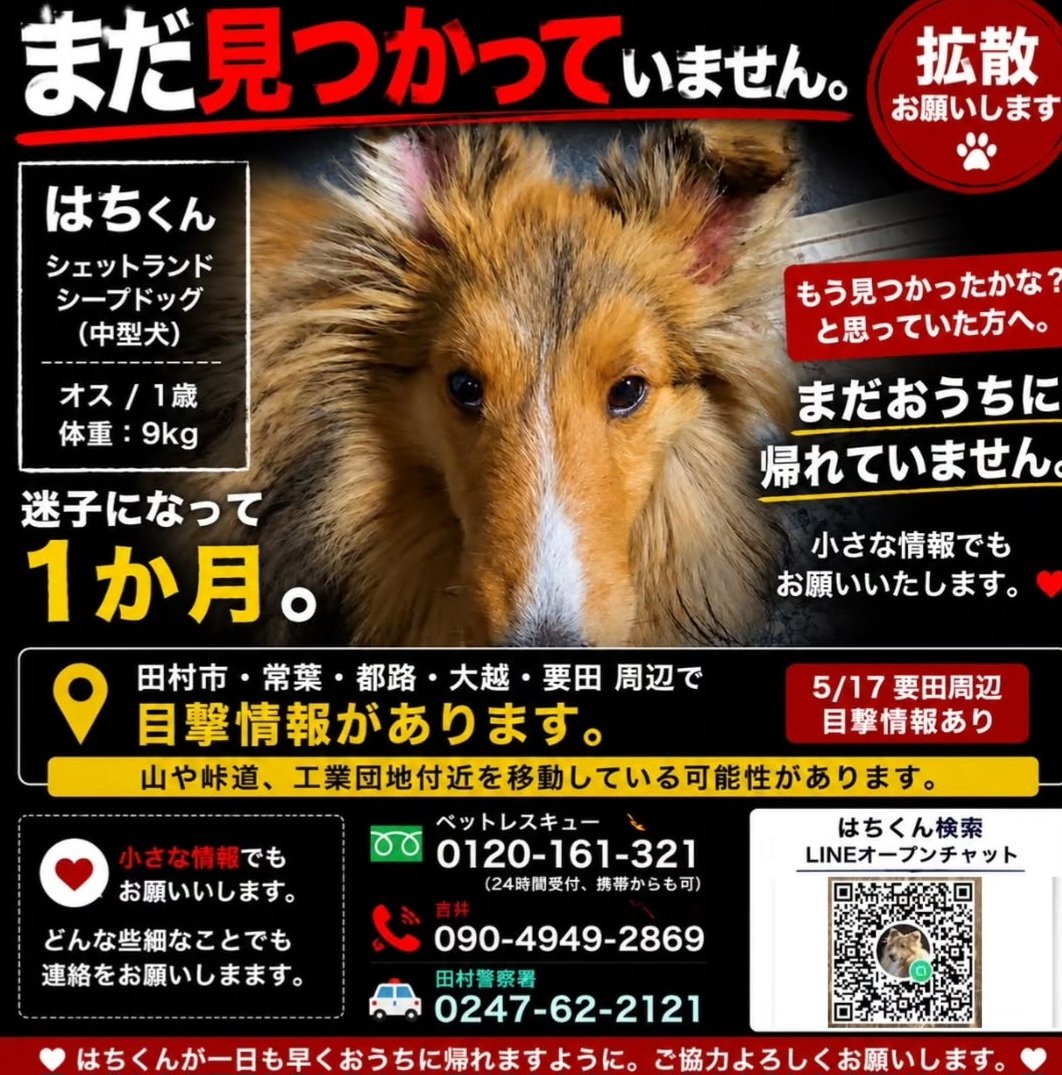 チィ🐾 tweet media