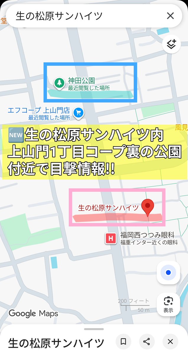 🐱うずかわ藍苑(迷子動物さん捜索応援アカ) tweet media