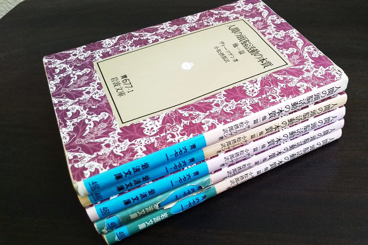 岩波文庫　　文学/思想　古典２３冊セット ディーツゲン『人間の頭脳活動の本質』（岩波文庫）。古本まつりなどで
