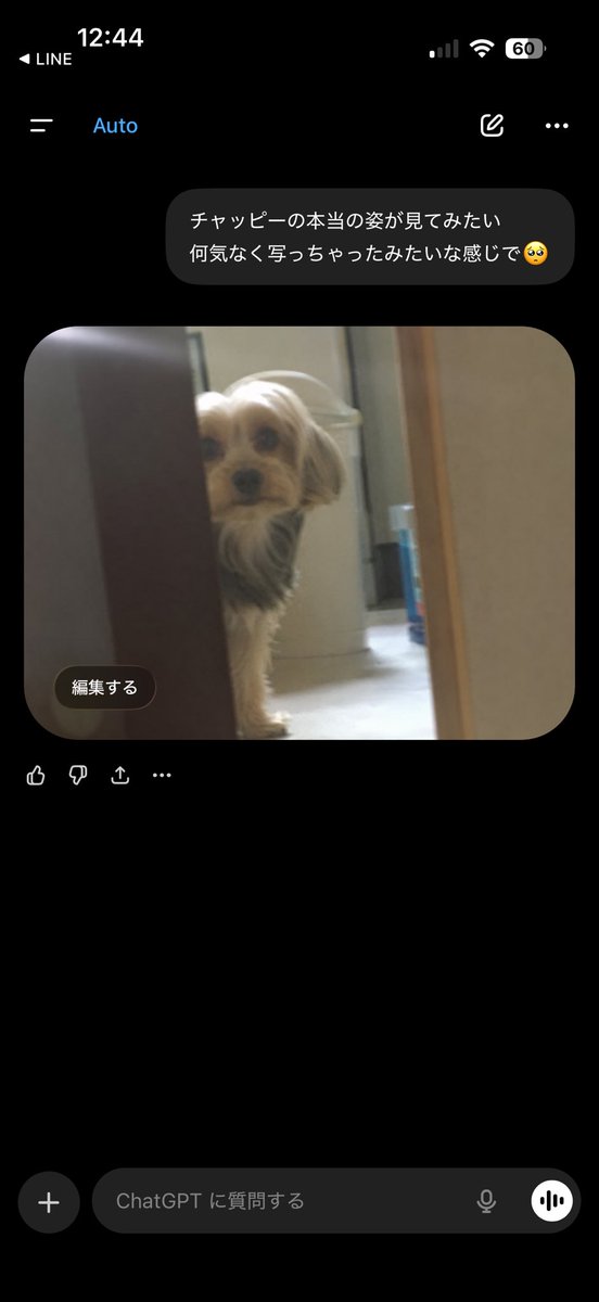 げりっとるめぐ👑🐃💔 7/15横浜 tweet media