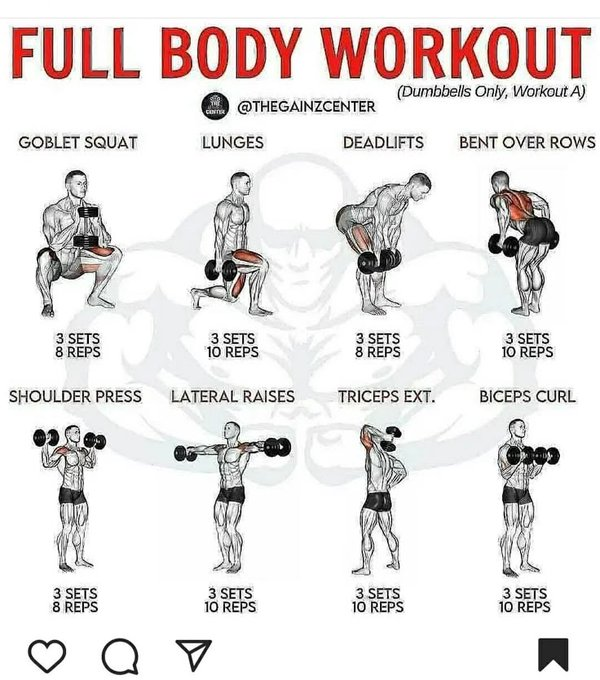 Daily Physique tweet media