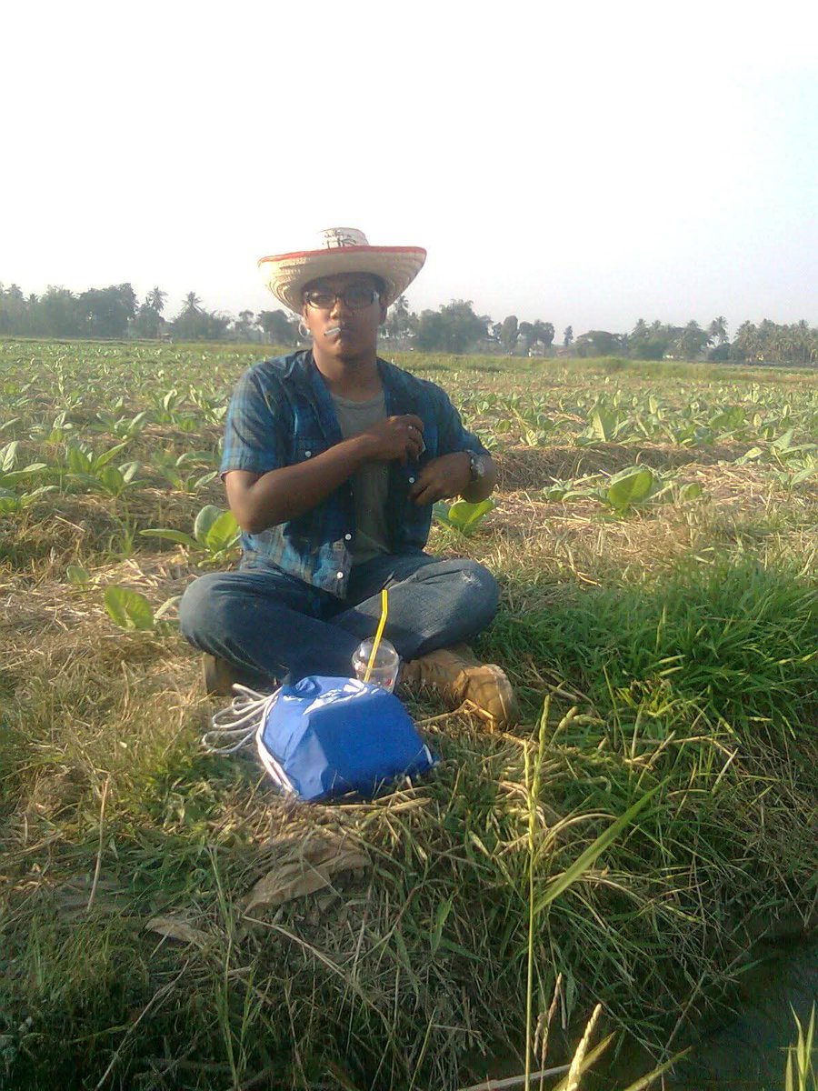 jimmy's tobacco Tobacco farmer 2014 (don't look at my boots)