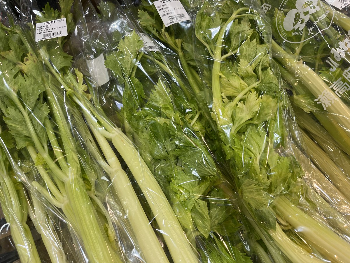 Ifruitpark's tweet photo. #いわふねフルーツパーク
本日はセロリが入荷しております✨😋
さっぱりと浅漬けでいただくも良し、すこし変わり種としてきんぴらでいただくのはいかがでしょうか👍🌞 https://t.co/X73ZlIZSvn
