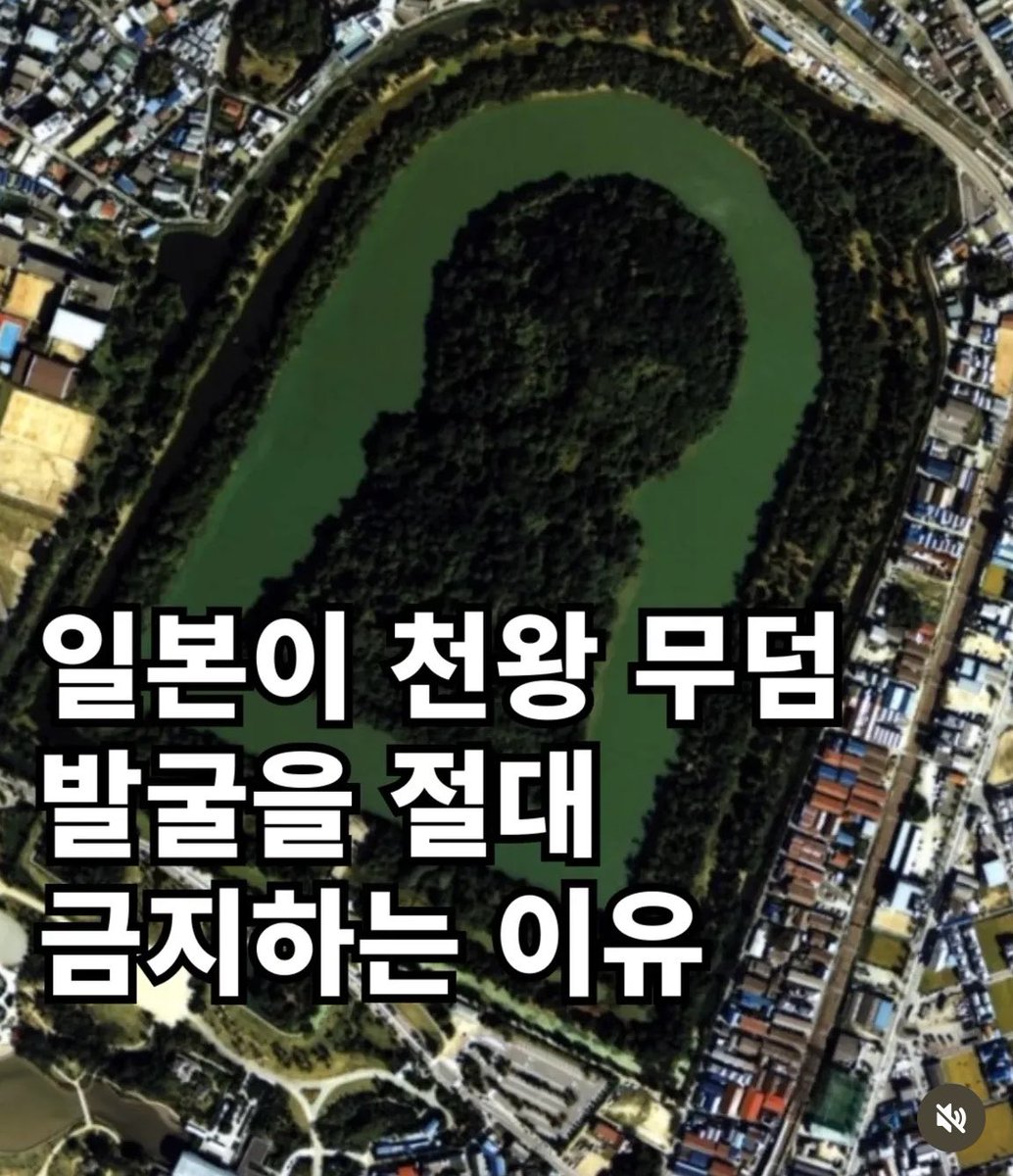 RRT(라미 구조대) tweet media