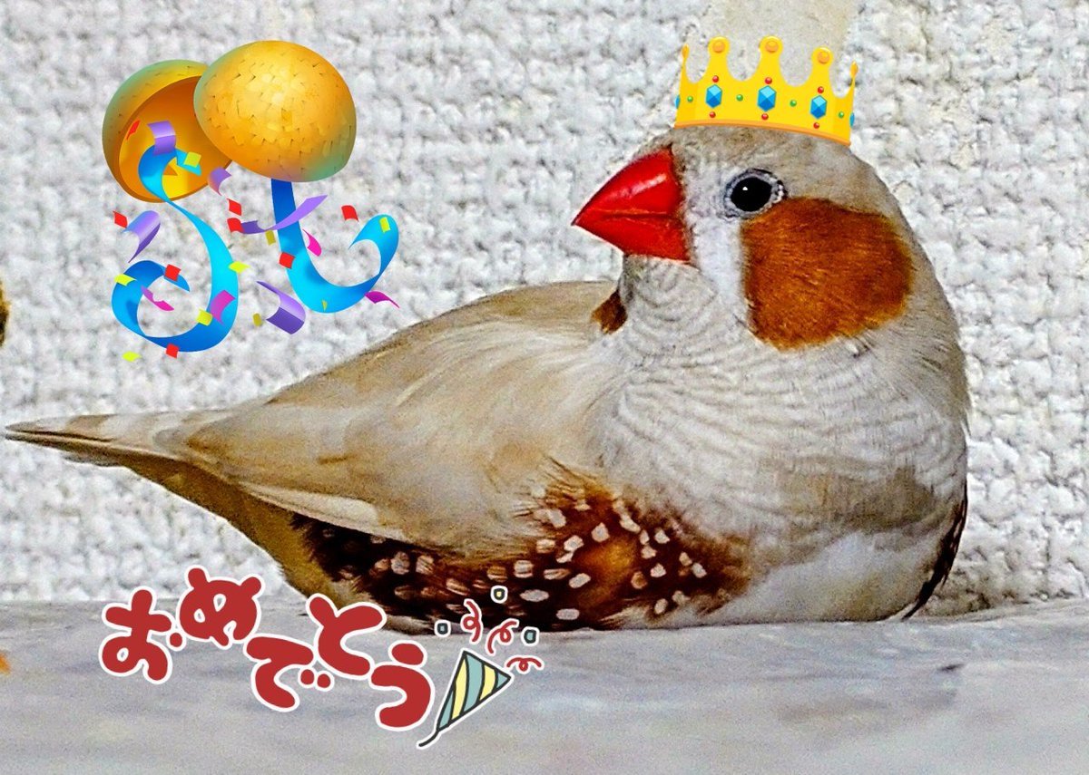 mococo tweet media