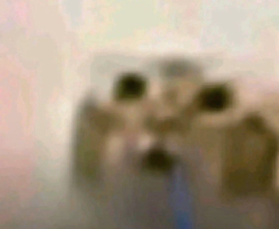 𖤐 tweet media