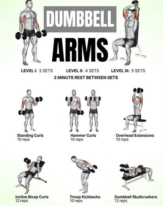Daily_physique's tweet photo. DUMBBELL ARMS https://t.co/XuGAaP9G6I