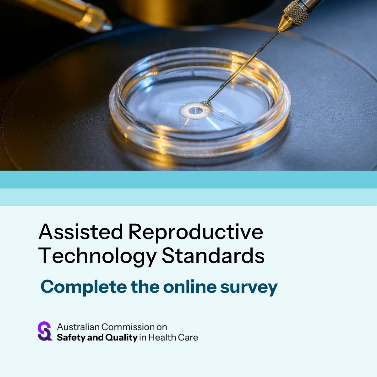 ACSQHC tweet media