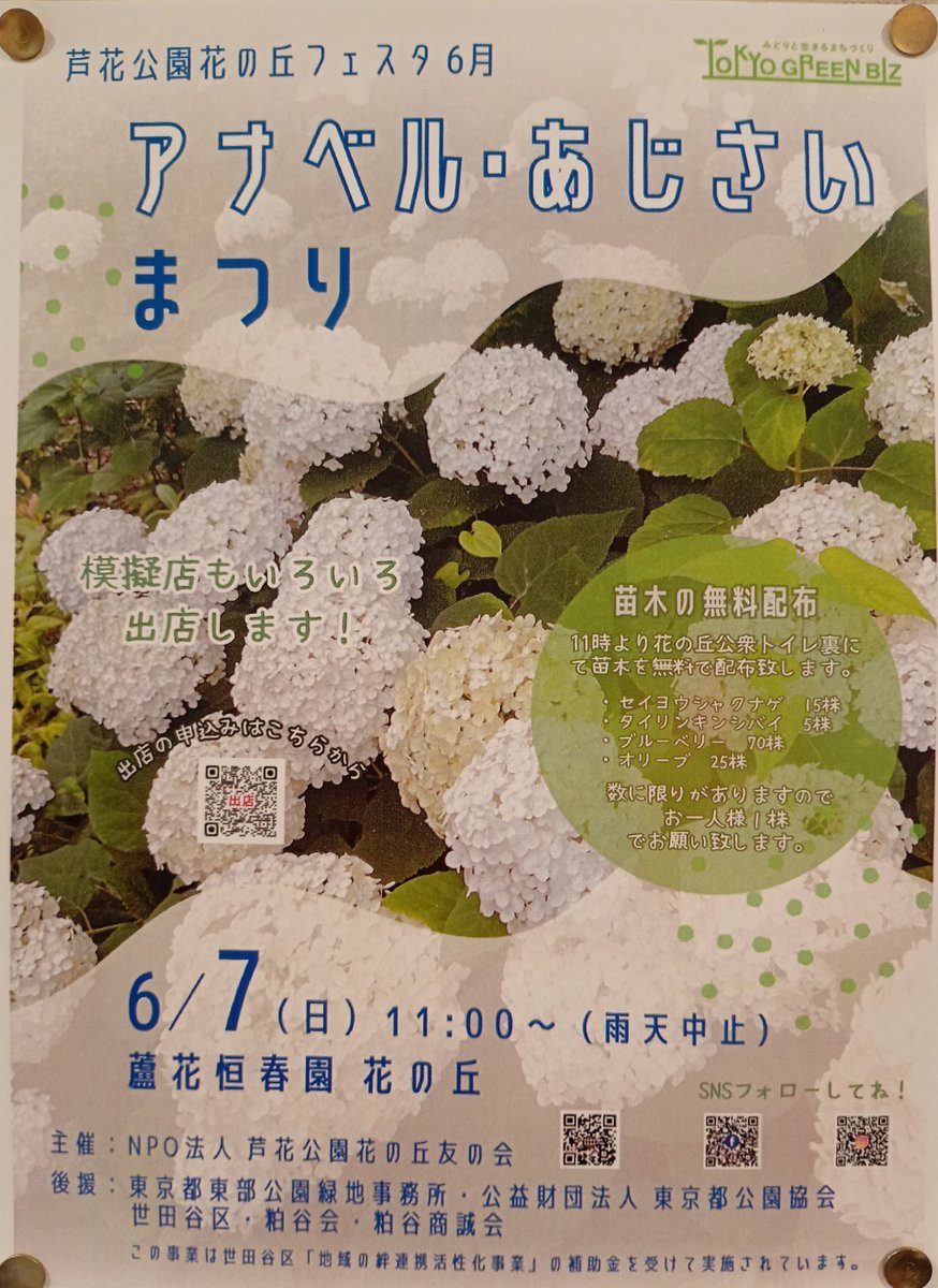 世田谷区粕谷にある環八沿いの「都立蘆花恒春園 花の丘」🌳🌲で