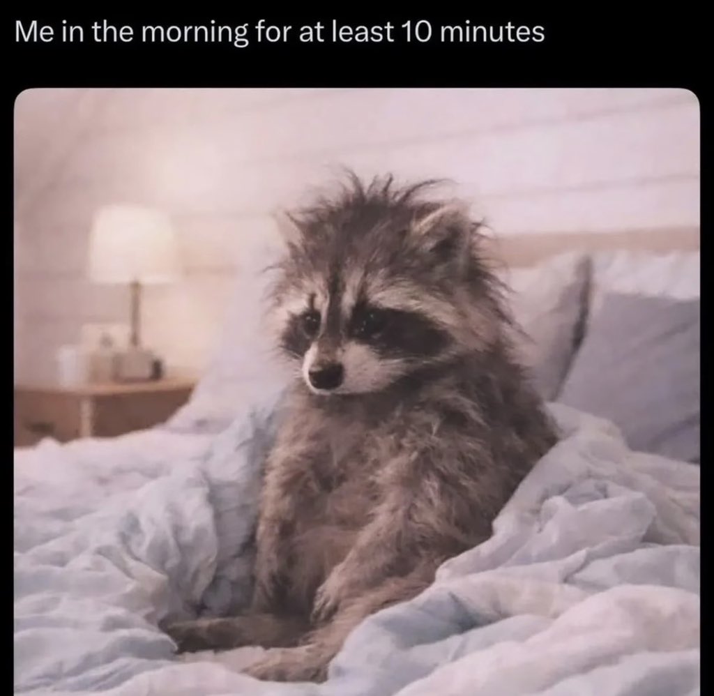 twaniimals's tweet photo. https://t.co/5ocFydezA9