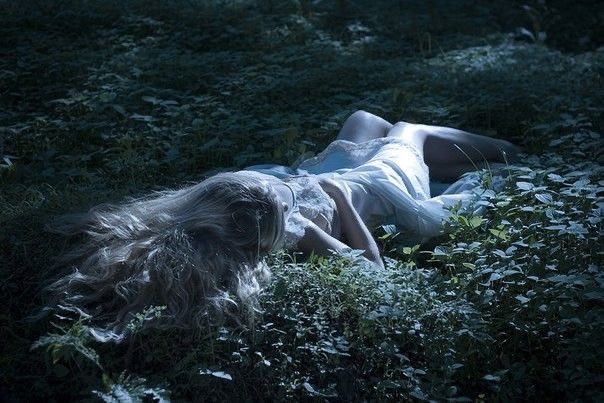 elle | daughter of harrenhal. tweet media