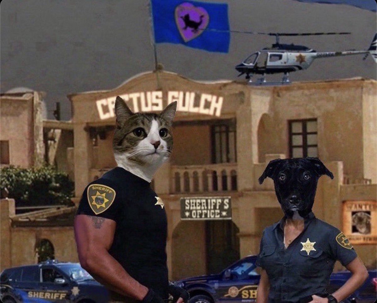 Joseph🐈Maggie🐕🦺 and family tweet media