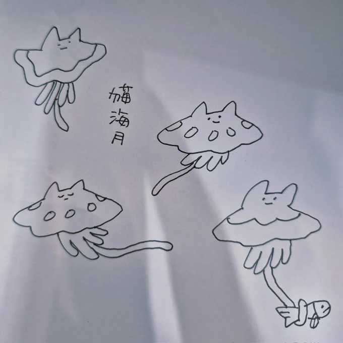 ねこくらげは悲しまない
ねこくらげは激怒しない
ねこくらげはかぷかぷわらわない
魚を捕らえて食らい生き
亀に喰われて死ぬ 